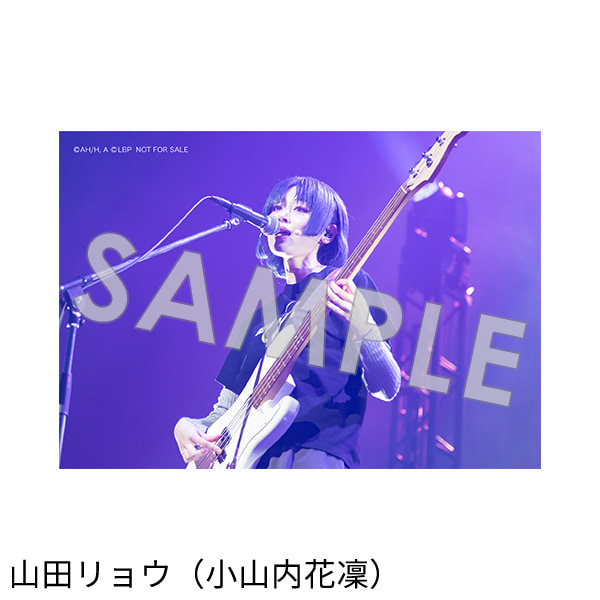 Amazon.co.jp<small>（【Amazon.co.jp 限定】商品のみ対象）</small>