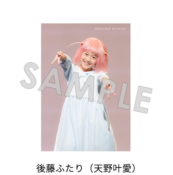 Amazon.co.jp<small>（【Amazon.co.jp 限定】商品のみ対象）</small>